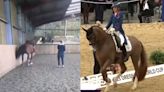 Difunden video de la jinete Charlotte Dujardin maltratando a caballo