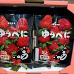 日本熊本草莓買一盒送一盒