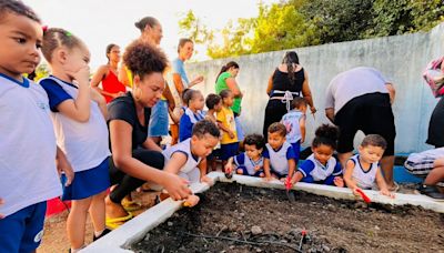 Escola em Macaé promove alimentação saudável com horta e cozinha experimental | Macaé | O Dia