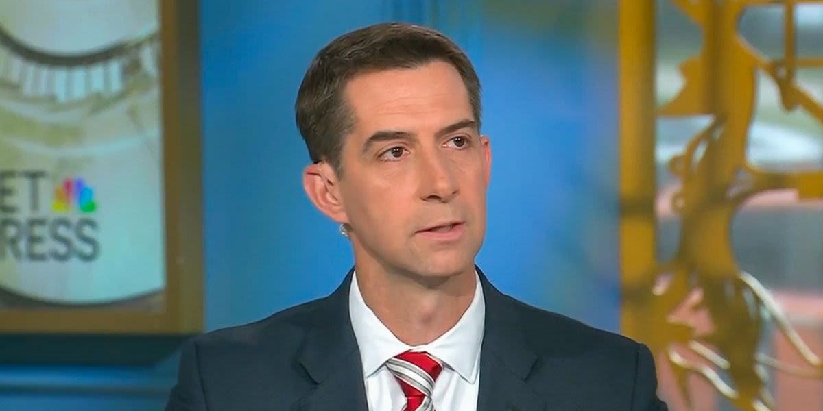 'He gave $15': NBC host deflates Tom Cotton's talking point on judge's link to Biden