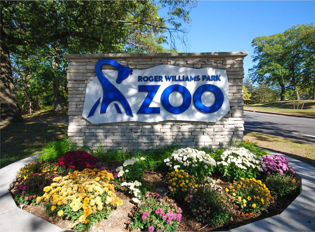 Roger Williams Zoo asks for help searching for macaws | ABC6