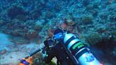 公民科學家參與海洋生態調查，潛水員帶您一探小琉球海底世界