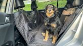 These Dog-Friendly Car Seat Covers Protect Your Car from Fur, Mud, and Overexcited Pups