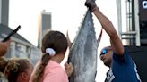White Marlin Open 2022: What you need to know about the Ocean City fishing tournament