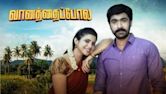 Vanathai Pola (TV series)