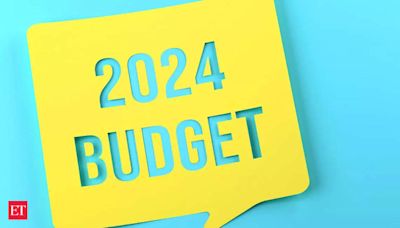 Budget 2024 Decoded: Your 2 minute guide to become a budget pro - The Economic Times