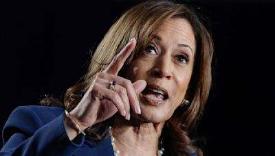 Présidentielle américaine : Kamala Harris, accueillie en rockstar à son premier meeting, fait carton plein