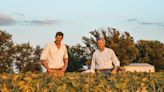 La familia dueña del mayor semillero de soja pagó una millonaria cifra por más de 60.000 hectáreas de una firma australiana
