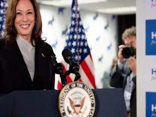 "I know Donald Trump's type": Kamala Harris offers a preview of the campaign to come - The Economic Times