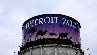 Detroit Zoo teases new water tower design