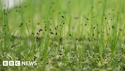 Is Norwich vertical farming unit the future of food production?