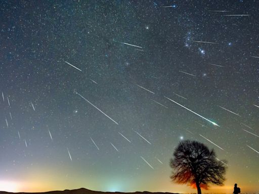 Exact date 'huge' event to light up skies as expert says 'no one should sleep'