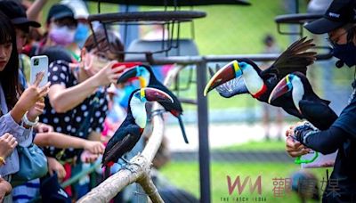 九九峰動物樂園歡慶2週年7-8日票價最低99元！９月成人票僅399元 | 蕃新聞