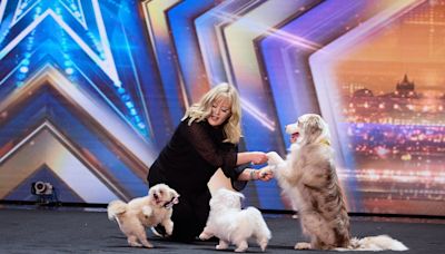 Britain's Got Talent fans are outraged by this year's wildcard act