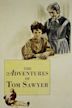 Las aventuras de Tom Sawyer