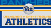 Pitt drops 12-2 decision to North Carolina, bows out of ACC Tournament