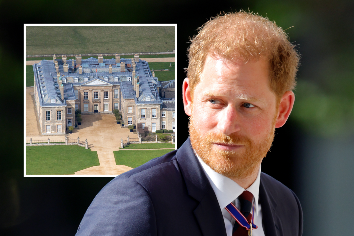 Prince Harry may have found his "home away from home"