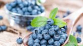 Professional Faqs: How Much Blueberries Should One Consume Per Day?
