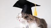 ‘Emotional Support’ Cat Gets Honorary Degree from Vermont College: 'Congratulations, Dr. Max Dow!'