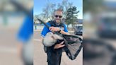 Domestic duck rescued by Humane Society