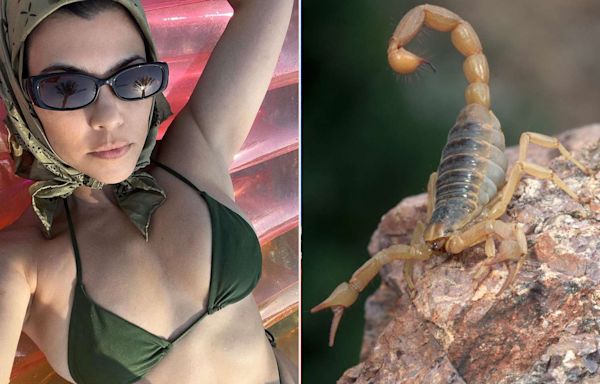 Kourtney Kardashian Was Once Stung by a Scorpion that Hid in Her Bikini Bottoms