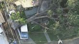 Giant tree crushes Monrovia home, trapping residents inside