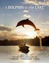 A Dolphin in Our Lake | Drama