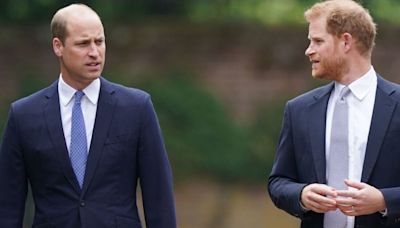 Harry's stern three-word comment to William that made brother 'furious'