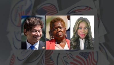 Democratic challengers try to scale Rep. Shri Thanedar's wall of money