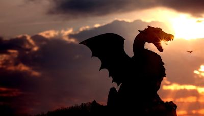 What Succession, House of the Dragon and Elemental have to teach us about family business - Denver Business Journal