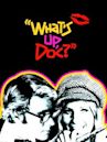 What's Up, Doc? (1972 film)