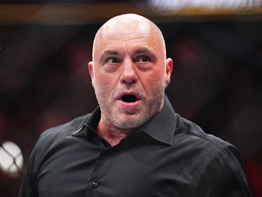 Joe Rogan reveals what could be 'game over for the human race'