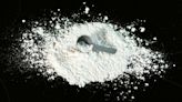 High Dose of Creatine Boosts Cognitive Performance