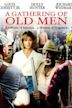 A Gathering of Old Men (film)