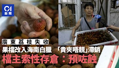 荔枝失收｜果欄檔改賣海南白臘 一磅賣$60滯銷：有客只吃糯米糍