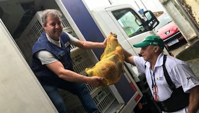 Sesc Mesa Brasil entrega cestas de alimentos para instituição social em Teresópolis