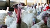 After lifting ban on live bird sales, Iowa reports another bird flu outbreak