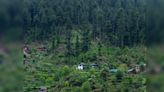 Visit Jibhi, a hidden offbeat gem in Himachal Pradesh, for a serene vacation