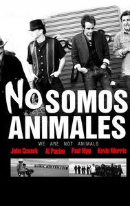 No somos animales