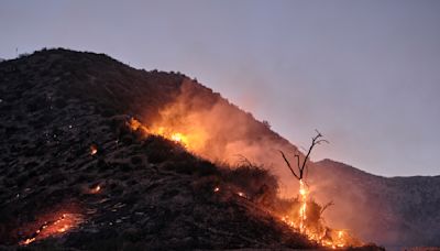 How This Year’s Fire Season Could Pan Out