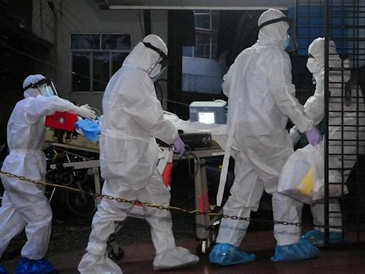 India alert after boy dies from Nipah virus in Kerala