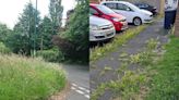 ‘Great British weather to blame’ as council criticised over grass cutting