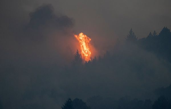 Evacuation orders lifted for Point Fire in Sonoma County