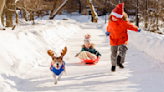 We Found the Best Sled To Turn Your Backyard Into a Winter Wonderland This Season