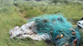 Kerry salmon net ‘length of GAA pitch’ seized by Inland Fisheries Ireland