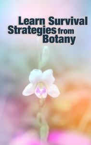 Learn Survival Strategies from Botany