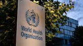 WHO chief scientist calls for increased monitoring and preparation for highly pathogenic bird flu