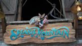 Splash Mountain Officially Closed at Disney World, People Try to Sell Water They Say Is from Ride