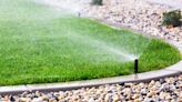 Should you water the lawn at night? Top lawn care experts give their verdict