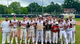 Walsingham wins its 6th consecutive VISAA Division III baseball title, Greenbrier Christian reigns in Division II